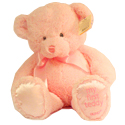 Baby Girl Pink Teddy by "Gund"