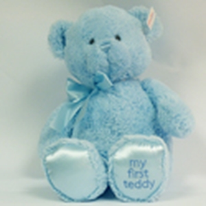 My First Teddy Bear for Boys