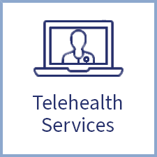Telehealth services