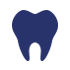 dental care icon